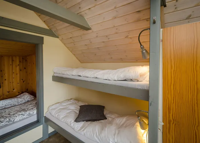 布里鲁普营地 营地 4*