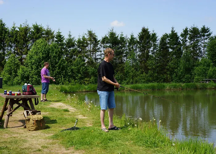 Camping Bryrup Camping 4*