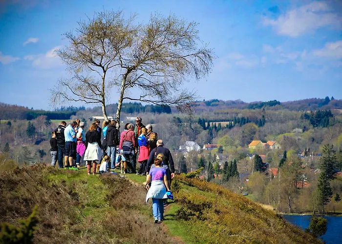 Bryrup Camping Кемпинг